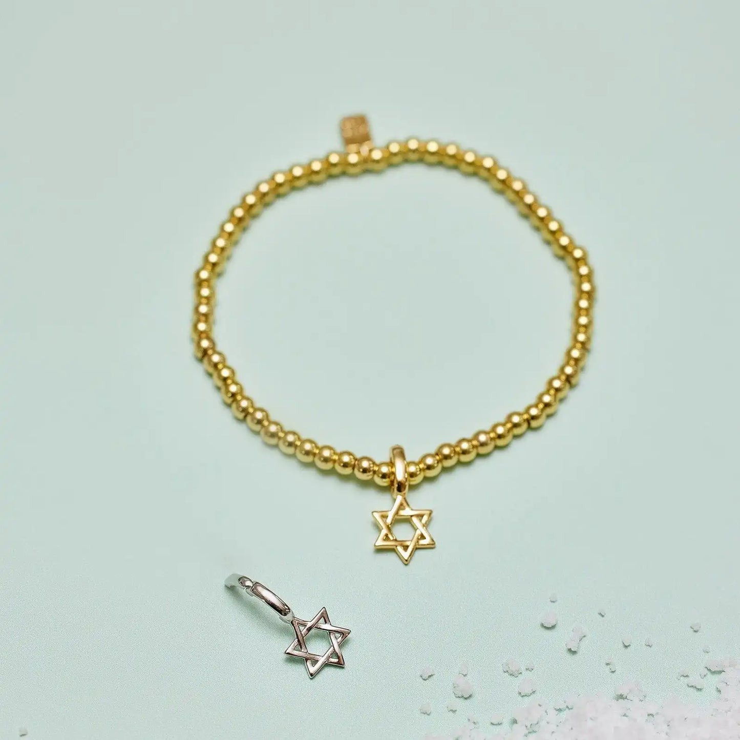 Harper Star of David Charm