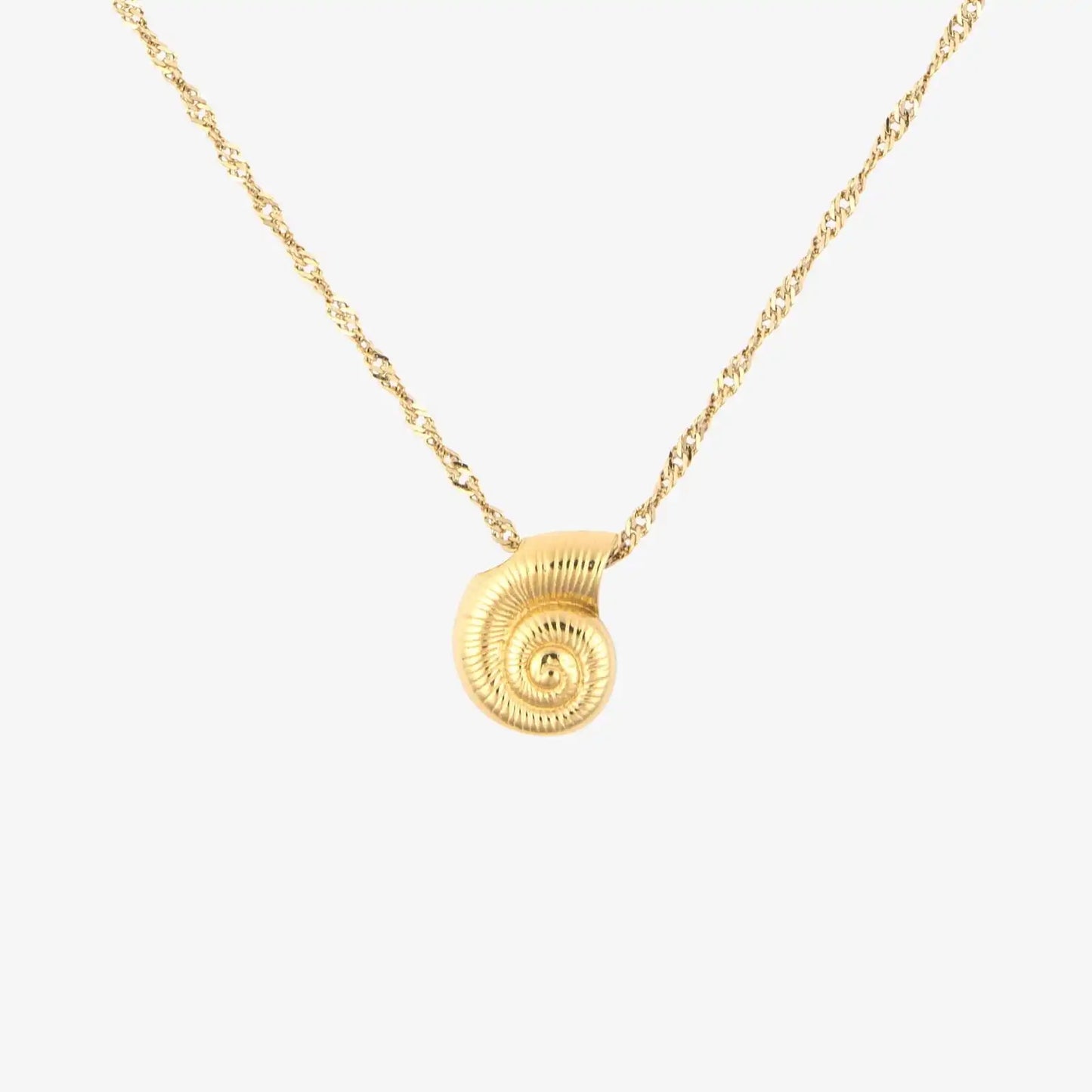 Seashell Pendant Necklace