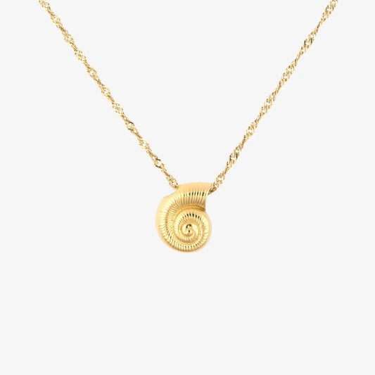 Seashell Pendant Necklace