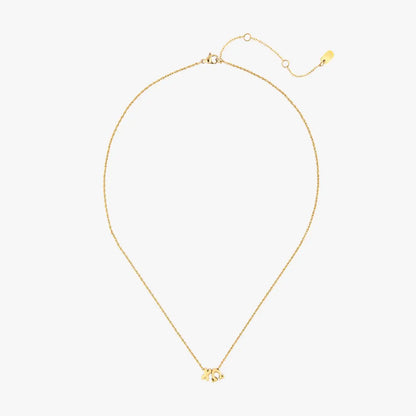 Chi Omega Collection