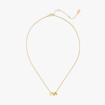 Gamma Phi Beta Collection